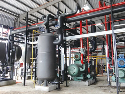 مشروع معالجة وتجهيز الدواجن - في ماليزيا