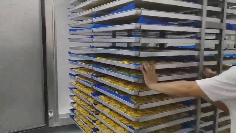 مشروع التجفيف بالتجميد في مدينة Yantai